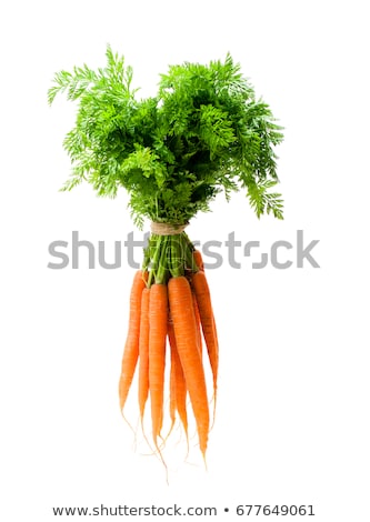 Stok fotoğraf: Bunch Of Carrots