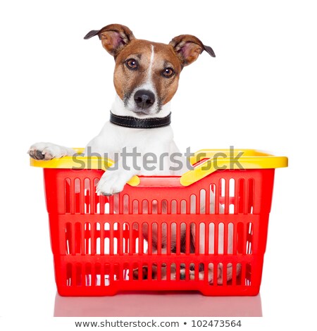 商業照片: Dog In A Red And Yellow Shopping Basket