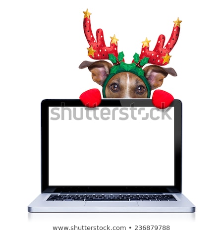 Stock foto: Banner Placeholder Dog