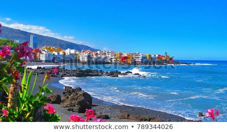 Stok fotoğraf: Beach At Puerto De La Cruz Tenerife Spain