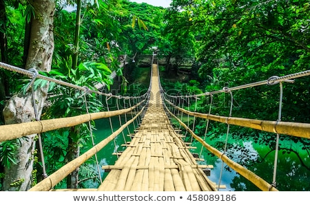Stock photo: Bridge In Jungle