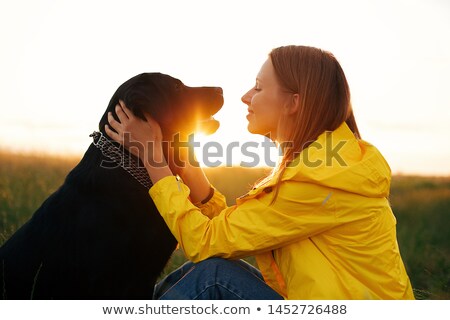 Stock fotó: Two Black Labradors