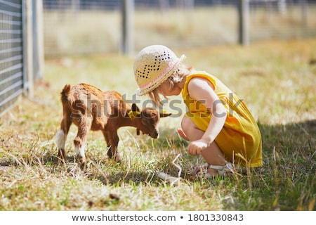 Сток-фото: The Girl In Straw Hat And Goatling