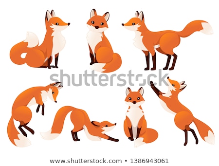 Stock fotó: Fox Sitting Illustration