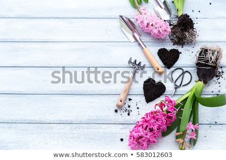 Stockfoto: Hyacinth Flowers Garden Tools And Easter Eggs