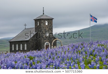 Stock fotó: Church Dingeyrar Iceland