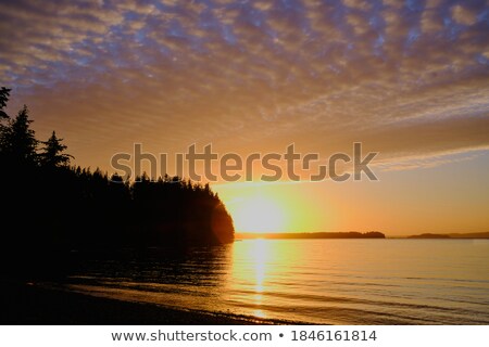 ストックフォト: Sunset Sky Over Port Of Vancouver Bc