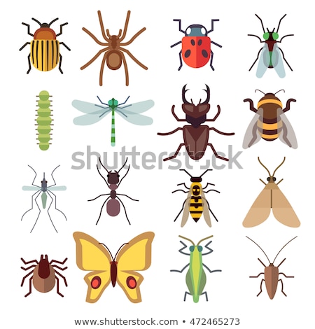 Stockfoto: Dragonfly Flat Color Icon Animal Vector Illustration