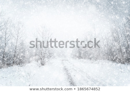 Foto stock: Winter Blizzard