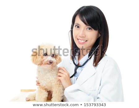 Femeie veterinară cu pudel Imagine de stoc © leungchopan
