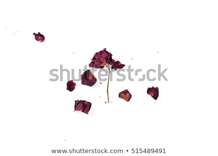 Stockfoto: Dried Rose Petals Heart