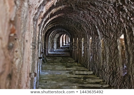 Сток-фото: Fenestrelle Abandoned Fort