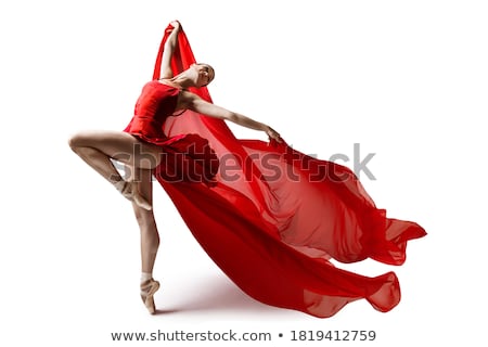 Stok fotoğraf: Beautiful Ballerina