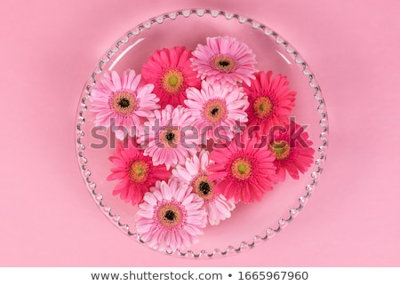 Stock photo: Colorful Gerbera Flowers In A Bowl Copy Space