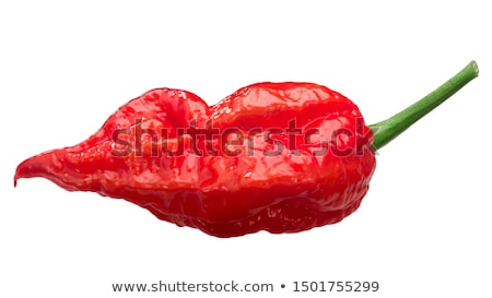 Stock fotó: Bhut Jolokia Ghost Pepper Paths