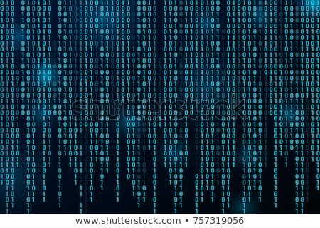 Zdjęcia stock: Digital Binary Code Algorithm Stream Matrix Background