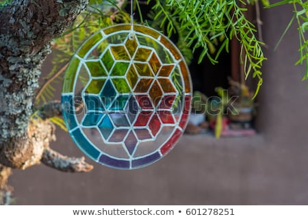 Stock photo: Fractal Leaves In Blurry Back