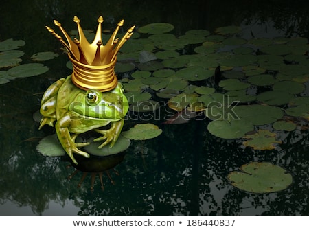 Сток-фото: Frog Prince Concept