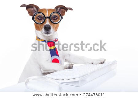 Stock photo: Secretary Dog