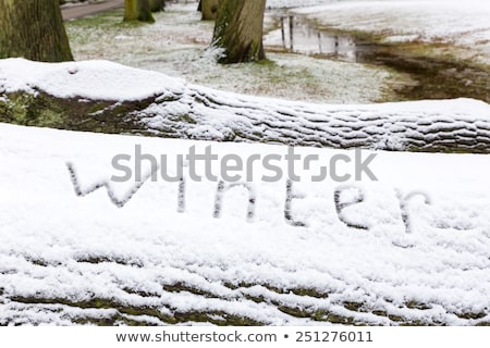 [[stock_photo]]: Word Winter Written In Snow On Oak Tree Trunk