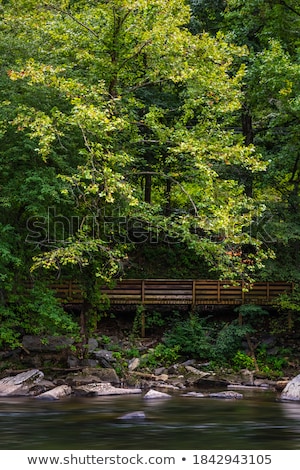 Stock photo: Mountain River Flowing Through Village