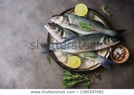 Stockfoto: Sea Bass Fish