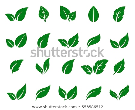 Stockfoto: Icon Tree Planting Landscaping Black