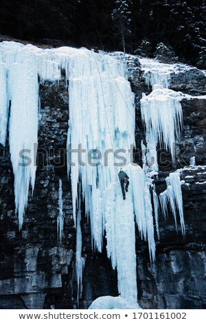 Stock fotó: Vertical Icicles In A Cave