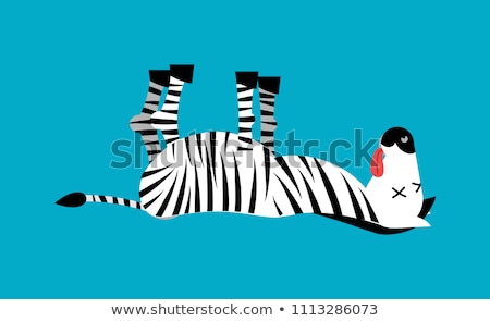 Foto stock: Dead Zebra African Animal Deceased Corpse Of Wild Beast