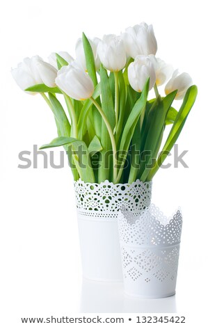 Stockfoto: Bouquet Of Colorful Bright Tulips On Light Background