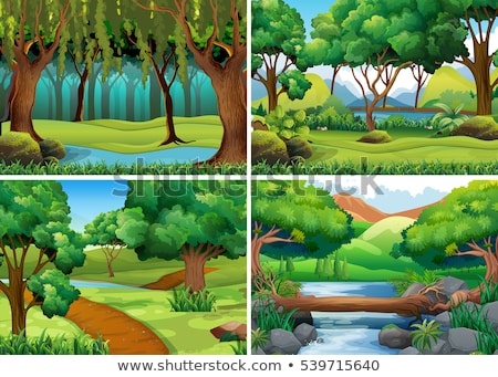 Stock fotó: Four Scenes Of Forests