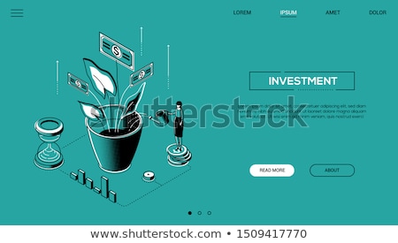 Сток-фото: Investment - Line Design Style Isometric Web Banner