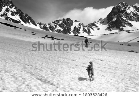 Black And White Snowy Mountain Retro Silhouette On White Сток-фото © Lizard