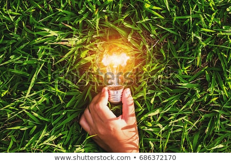 [[stock_photo]]: Energy Consumption