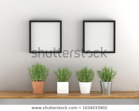 Stockfoto: Two Square Posters Hanging On The Art Gallery Wall