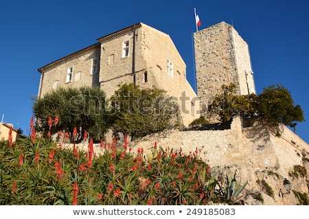 Foto stock: Onservador · del · Museo · Francés