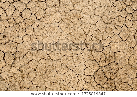 Stock photo: Dry Cracked Earth Texture