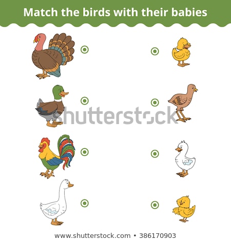 Stok fotoğraf: Matching Game Templat With Farm Animals