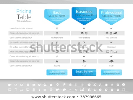 [[stock_photo]]: Light Pricing Table With 3 Options Icon Set Included