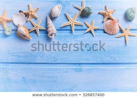 ストックフォト: Sea Frame Different Marine Items On Blue Wooden Background Sea