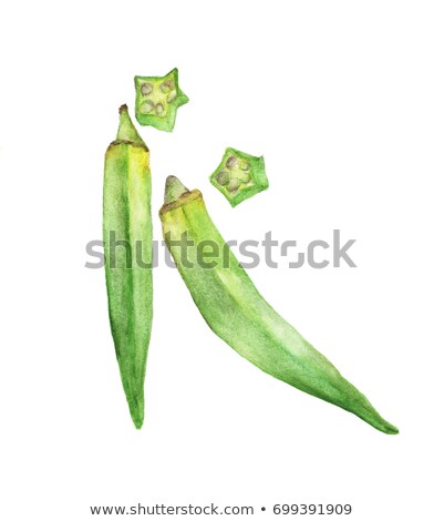 Stockfoto: Watercolor Illustration Of Okra