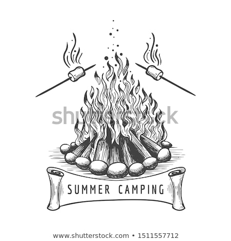 Stockfoto: Camping Fire With Roasting Marshmallow Icon