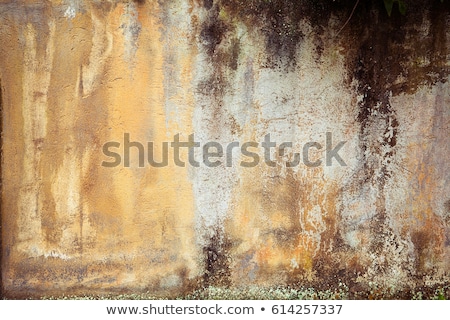 Stockfoto: Torn Wallpapers On The Old Green Wall