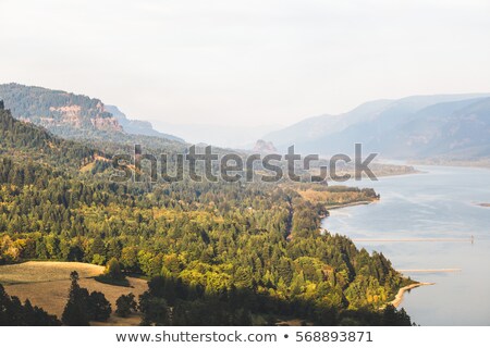 Stok fotoğraf: Hiking Up Beacon Rock On Columbia River