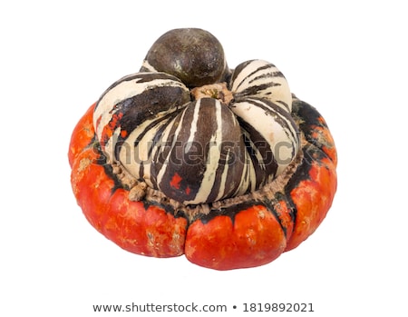 Zdjęcia stock: Turban Squash