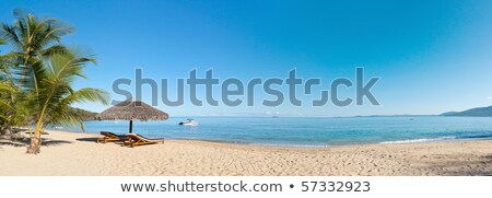 ストックフォト: Tropical Beach With Palm Trees And Umbrellas