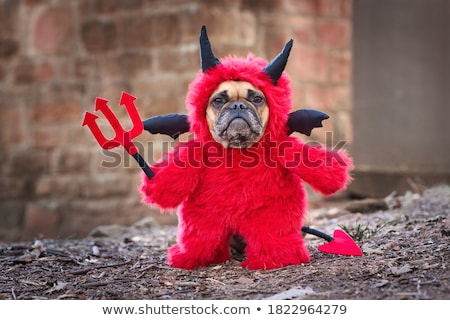 Stok fotoğraf: Halloween Devil Dog