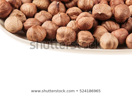 Foto stock: Hazelnut Border On White Background Pile Of Selected Hazel Close Up