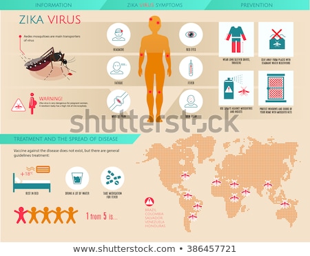 ストックフォト: Zika Virus And Dengue Virus Infographics