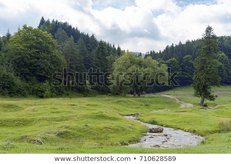 Сток-фото: Seven Ladders Canyon And Piatra Mare